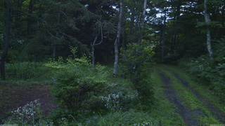 長野県菅平高原 ゆたか山荘 坂上 2026/08/04 05:00