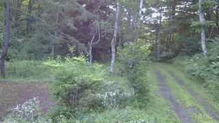 長野県菅平高原 ゆたか山荘 坂上 2026/08/04 05:15