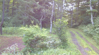 長野県菅平高原 ゆたか山荘 坂上 2026/08/04 05:30