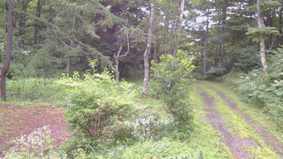 長野県菅平高原 ゆたか山荘 坂上 2026/08/04 05:45