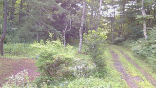 長野県菅平高原 ゆたか山荘 坂上 2026/08/04 06:00