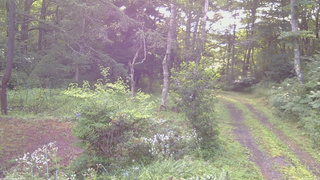 長野県菅平高原 ゆたか山荘 坂上 2026/08/04 06:15