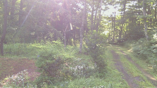 長野県菅平高原 ゆたか山荘 坂上 2026/08/04 06:30