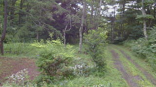 長野県菅平高原 ゆたか山荘 坂上 2026/08/04 06:45