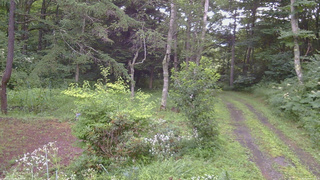 長野県菅平高原 ゆたか山荘 坂上 2026/08/04 07:00
