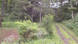 長野県菅平高原 ゆたか山荘 坂上 2026/08/04 07:15