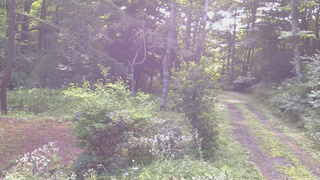 長野県菅平高原 ゆたか山荘 坂上 2026/08/04 07:45