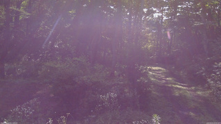 長野県菅平高原 ゆたか山荘 坂上 2026/08/04 08:00