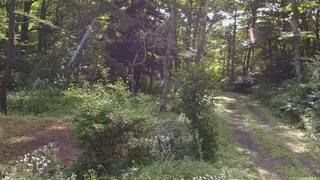 長野県菅平高原 ゆたか山荘 坂上 2026/08/04 08:15