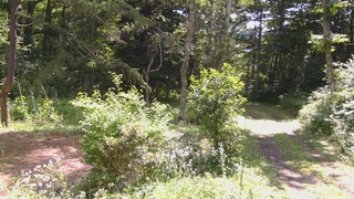 長野県菅平高原 ゆたか山荘 坂上 2026/08/04 09:45