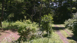 長野県菅平高原 ゆたか山荘 坂上 2026/08/04 10:45