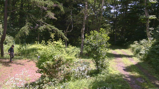 長野県菅平高原 ゆたか山荘 坂上 2026/08/04 11:30