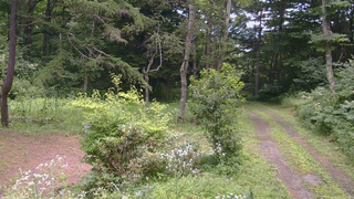 長野県菅平高原 ゆたか山荘 坂上 2026/08/04 11:45