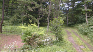 長野県菅平高原 ゆたか山荘 坂上 2026/08/04 12:00
