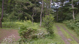 長野県菅平高原 ゆたか山荘 坂上 2026/08/04 12:15