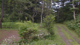 長野県菅平高原 ゆたか山荘 坂上 2026/08/04 12:30