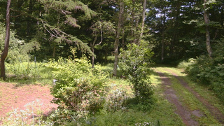 長野県菅平高原 ゆたか山荘 坂上 2026/08/04 12:45