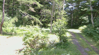 長野県菅平高原 ゆたか山荘 坂上 2026/08/04 13:00