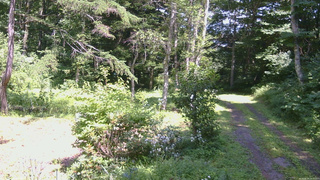 長野県菅平高原 ゆたか山荘 坂上 2026/08/04 13:30