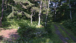 長野県菅平高原 ゆたか山荘 坂上 2026/08/04 15:15