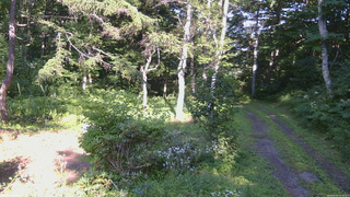 長野県菅平高原 ゆたか山荘 坂上 2026/08/04 15:30