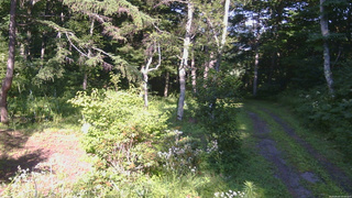長野県菅平高原 ゆたか山荘 坂上 2026/08/04 16:00
