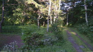 長野県菅平高原 ゆたか山荘 坂上 2026/08/04 17:15