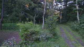 長野県菅平高原 ゆたか山荘 坂上 2026/08/04 17:45