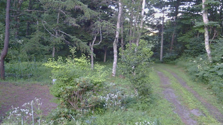 長野県菅平高原 ゆたか山荘 坂上 2026/08/04 18:00