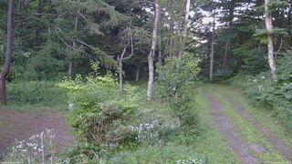 長野県菅平高原 ゆたか山荘 坂上 2026/08/04 18:15