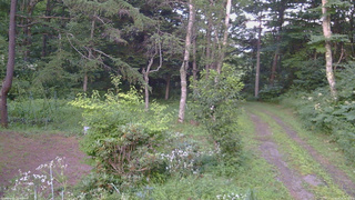 長野県菅平高原 ゆたか山荘 坂上 2026/08/04 18:30
