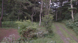 長野県菅平高原 ゆたか山荘 坂上 2026/08/04 19:00