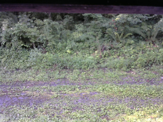 長野県菅平高原 ゆたか山荘 東側(坂下) 2026/08/05 06:30