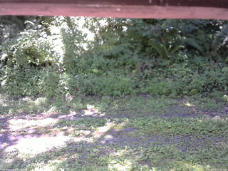 長野県菅平高原 ゆたか山荘 東側(坂下) 2026/08/05 11:00