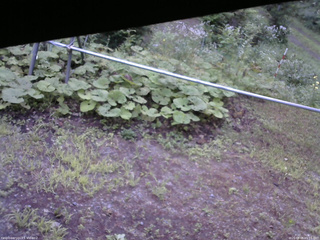長野県菅平高原 ゆたか山荘 駐車場 2026/08/05 05:15