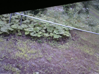 長野県菅平高原 ゆたか山荘 駐車場 2026/08/05 05:30