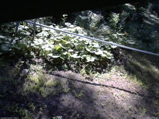 長野県菅平高原 ゆたか山荘 駐車場 2026/08/05 07:30