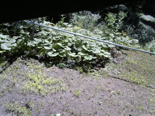 長野県菅平高原 ゆたか山荘 駐車場 2026/08/05 08:45
