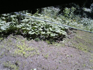長野県菅平高原 ゆたか山荘 駐車場 2026/08/05 09:00