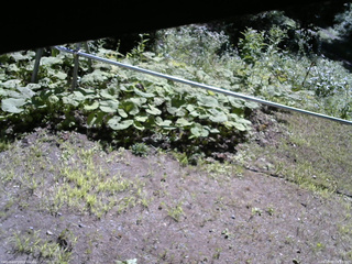 長野県菅平高原 ゆたか山荘 駐車場 2026/08/05 09:15