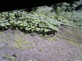 長野県菅平高原 ゆたか山荘 駐車場 2026/08/05 10:15