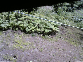 長野県菅平高原 ゆたか山荘 駐車場 2026/08/05 10:30