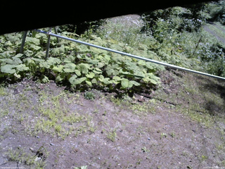 長野県菅平高原 ゆたか山荘 駐車場 2026/08/05 10:45