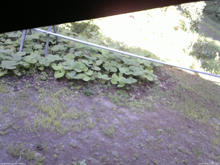 長野県菅平高原 ゆたか山荘 駐車場 2026/08/05 16:30