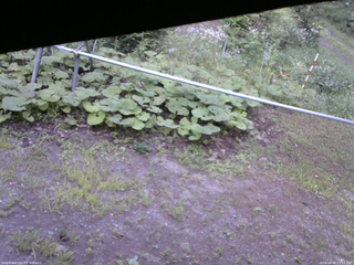 長野県菅平高原 ゆたか山荘 駐車場 2026/08/05 17:15