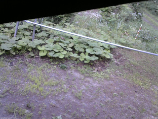 長野県菅平高原 ゆたか山荘 駐車場 2026/08/05 17:30