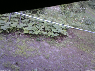 長野県菅平高原 ゆたか山荘 駐車場 2026/08/05 18:00