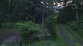 長野県菅平高原 ゆたか山荘 坂上 2026/08/05 05:00