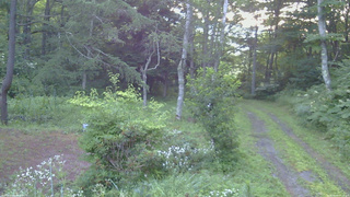 長野県菅平高原 ゆたか山荘 坂上 2026/08/05 05:15