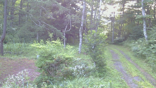 長野県菅平高原 ゆたか山荘 坂上 2026/08/05 05:30